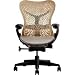 Mirra Chair - Fully Featured Cappuccino on Graphite by Herman Miller