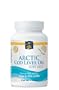 Nordic Naturals Arctic Cod Liver Oil -- 90 Softgels