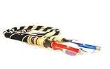 Cobra and Gold Hookah Hos