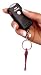 Key Alert with Flashlight Image