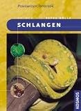 Schlangen - Petra K&ouml;lle