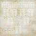 12x12 Paper 25pk Family Tree