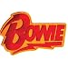 David Bowie Name Rock and Roll Music Band Patch p1506
