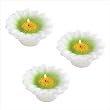 Daisy Delight Candles Daisy Delight Candles