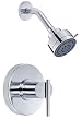 Danze Parma 1 Handle Shower Chrome D500558