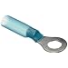 Morris Products 12230 Ring Terminal, Heat Shrinkable, Blue, 16-14 Wire Size, 1/4" Stud Size  (Pack of 100)