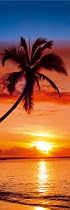Paradise (Sunset & Palm Tree, Door) Art Poster Print - 21" X 62"