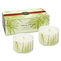 Thymes Frasier Fir Candle Set of 2