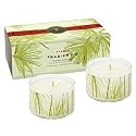 Holiday Thymes Frasier Fir 2 Candle Set (4 oz / 110 g x 2)