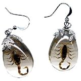 Scorpion Earrings