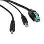 StarTech.com 6-Feet 12-Vault to M Barrel+USB Powered USB Cable - Plus Power (PUSBMYB12V06)