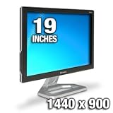 Gateway HD1900 19