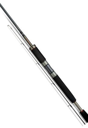 Shimano FireBlood 300 H Spinnrute