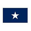 Bonnie Blue 3ft x 5ft Polyester flag