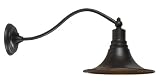 31IV7ReCX4L. SL160  World Imports Lighting 9097 89 Dark Sky Kingston 1 Light Outdoor Lantern, Bronze