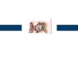 Sachet de 12 aiguilles de gonflage pour Foot, Hand, Volley, Basket et Rugby - Visiodirect -