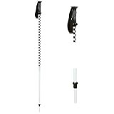 Joystick Spicolli Ski Pole