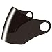 Scorpion Faceshield for EXO-200 Helmet