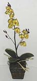 Review Silk Plants Plus  / Silk Phaleonopsis Deluxe Orchid in Safari Wooden Container
