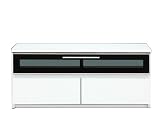 テレビボード 【RENIA II】 リニアII 100 ホワイト (幅1000×奥行き450×高さ430mm)