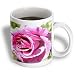 Sweet Summer Beauty Rose Flowers Photography - 11oz Mug