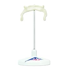 3B Scientific A71/9 Hyoid Bone Model on Stand