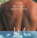 FLY LIKE AN EAGLE 12" SINGLE