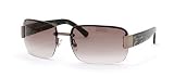 Kate Spade SHAY S Sunglasses by