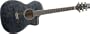Ibanez A200ETG Ambiance Arched Back