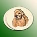 cocker spaniel - Blonde Cocker Spaniel Coasters Set of 4 from the Winter Churchill Collection