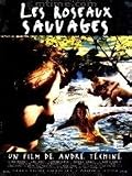 Les Roseaux Sauvages / Wild Reeds [Region 2] PAL ( French Only. No English Subtitle)