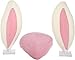 Mystic Industries Reindeer, Black Bat and Easter Bunny Three Seasons Vehicle Costumes, (Pack of 3)