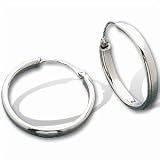 Titanium/Platinum Hoop Earrings (Pair) - 19.50 mm