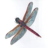 Pickard Wind & Wings Charger Plate-Saffron-Winged Meadowhawk Pickard Wind & Wings Charger Plate-Saffron-Winged Meadowhawk