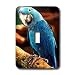 Birds - Hyacinth Macaw - Light Switch Covers - single toggle switch