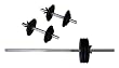 Amber Sports 160-Pound Standard Weight Set Amber Sports 160-Pound Standard Weight Set