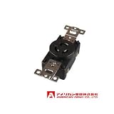 アメリカン電機 埋込コンセント 引掛形 （15A/接地形 2P/125V） 黒色 3110-L5