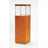 Quick Ship: Medium Square Free Standing Pedestal Case Finish: Black / Black Frame, Sidelights: Included