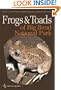 Frogs and Toads of Big Bend National Park (W. L. Moody Jr. Natural History Series)