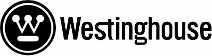 Westinghouse Main 4873D01011 Part # 55.73D01.021G