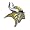 Minnesota Vikings