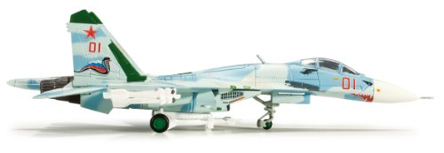 herpa 1/200 SU-27 ロシア海軍 One Kopeck