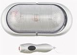Portable Remote Controlled Light