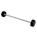 Rubber Straight Barbell 110 lbs.