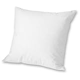 Eddie Bauer Down Pillow Insert 16x16, White ONESZE