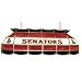 NHL Ottawa Senators Stained Glass 40 inch Lighting Fixture