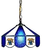 Kentucky Wildcats 14 Swag Hanging Lamp