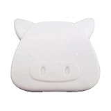 Brighton PIG USB/AC ADAPTER ホワイト BI-USBACPIG/WHの画像
