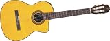 Takamine TC132SC Acoustic-Electric Nylon String Guitar, Natural