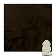 Bowron Sheepskin Rugs LWW+SXT (Black) Contemporary Black Gold Star Sheepskin Rug Size: 6' x 6' (Sext